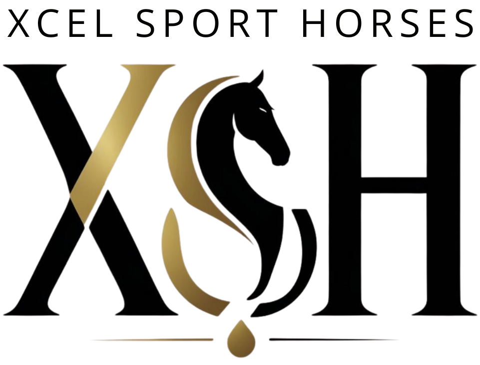 Xcel Sport Horses