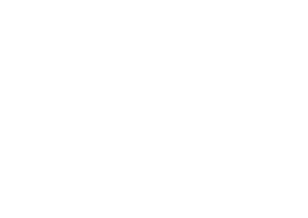 Xcel Sport Horses